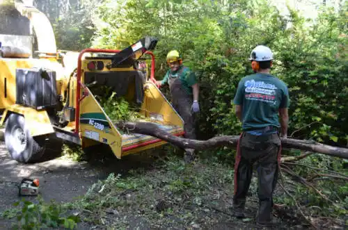 tree services Gila Bend